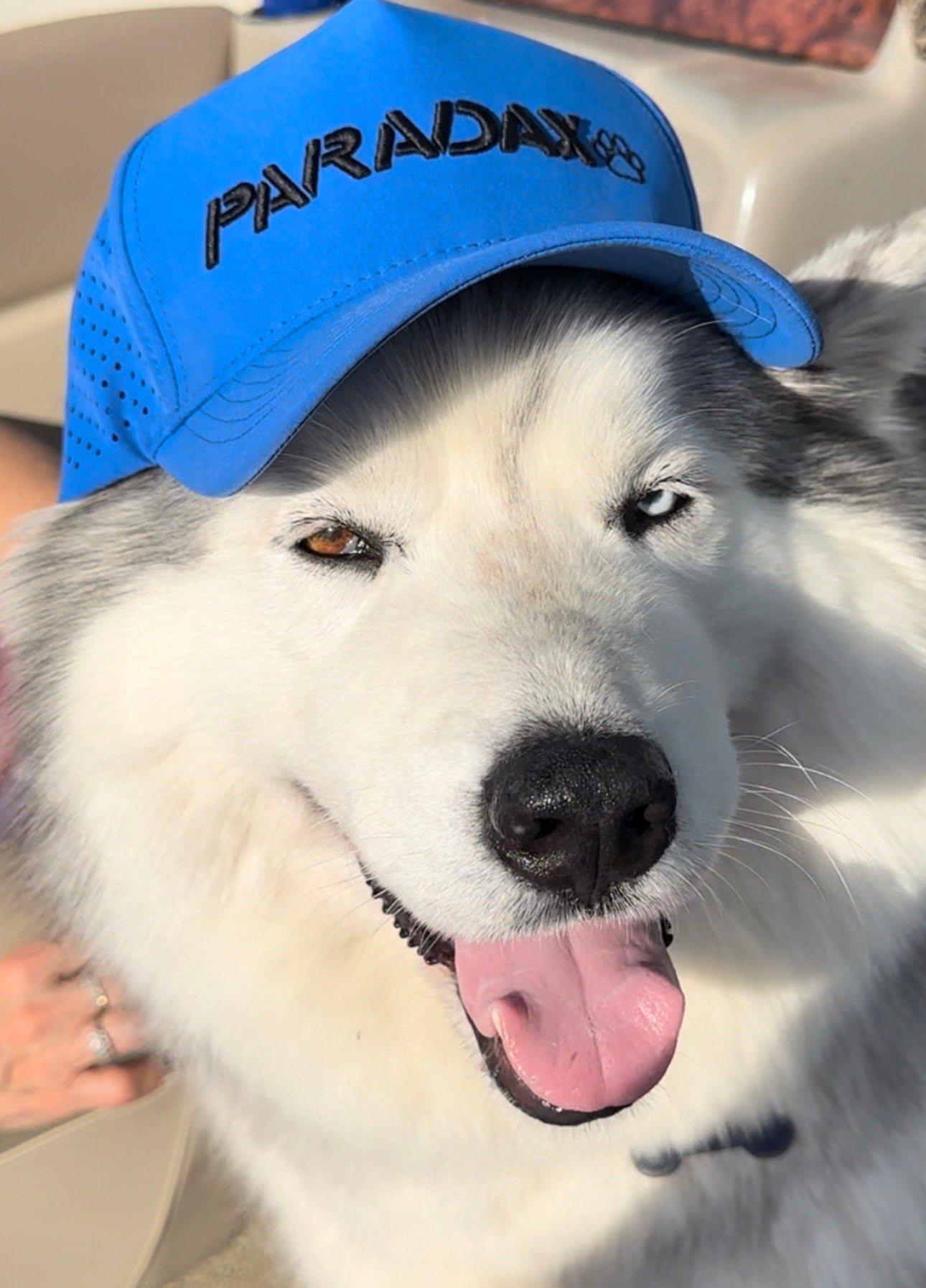 Paradax Vented Golf Hat