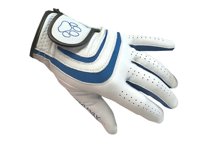 PARADAX Golf Glove Blue