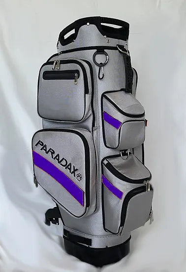 Gray Bag purple Stripes